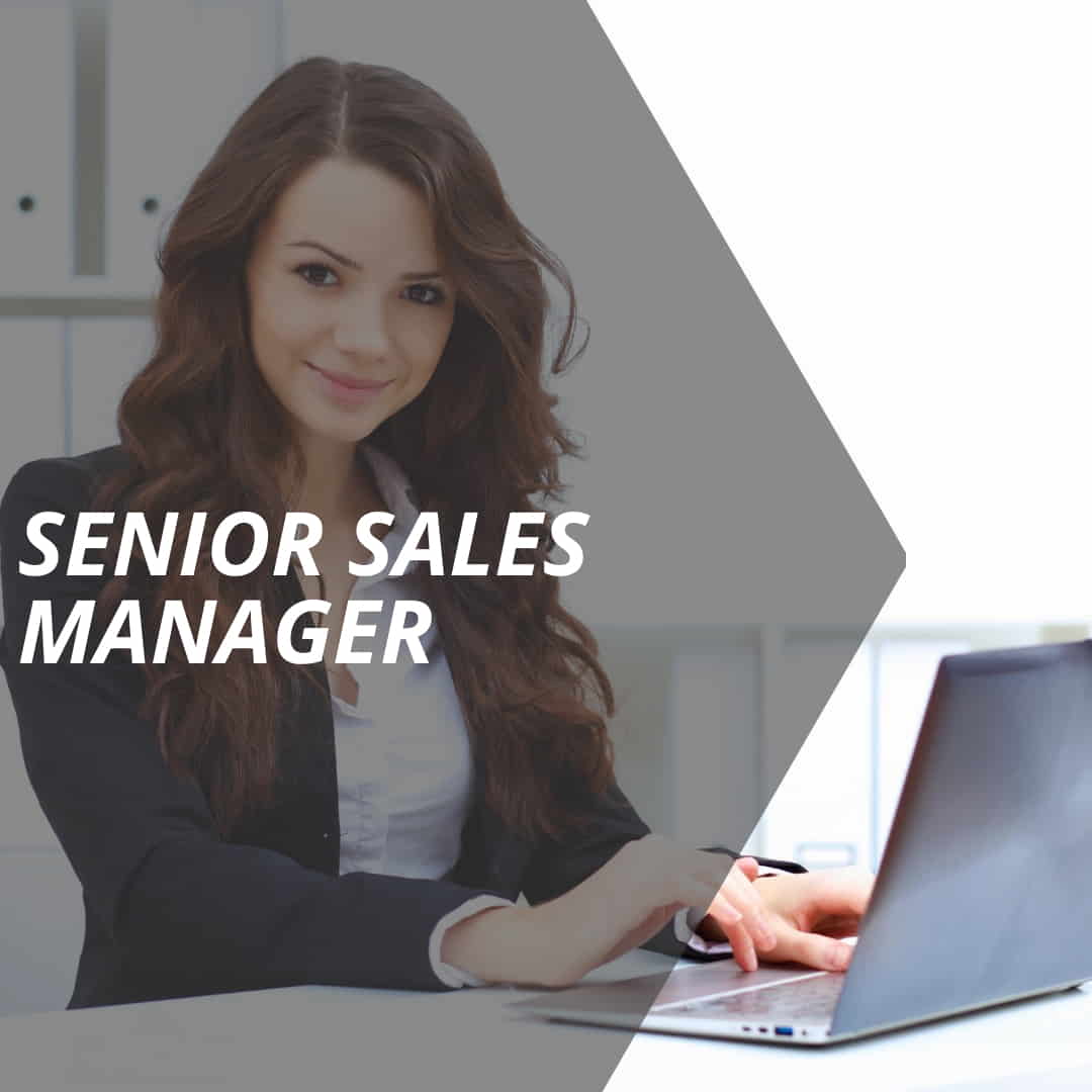 vertriebslexikon-senior-sales-manager