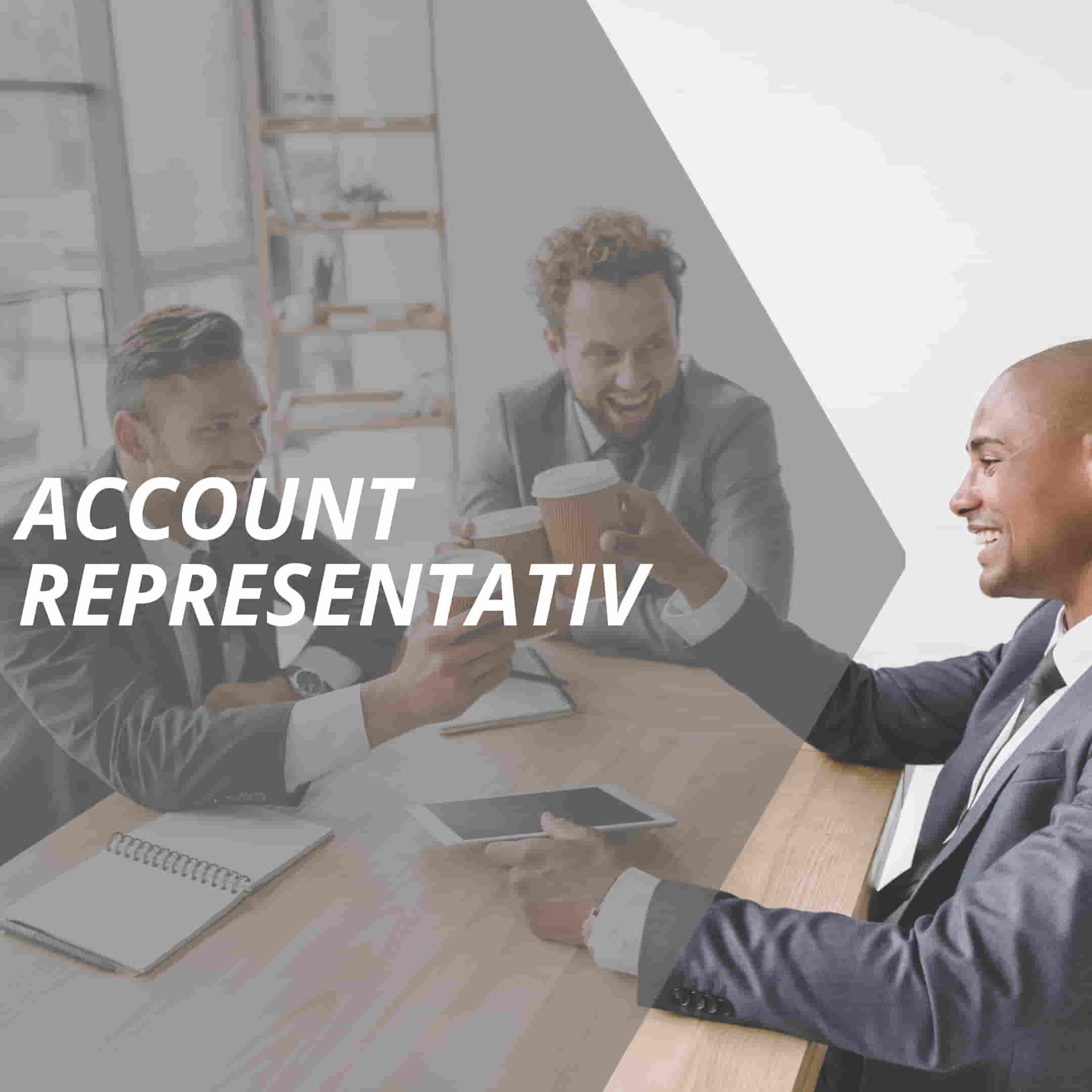 vertriebslexikon account representativ