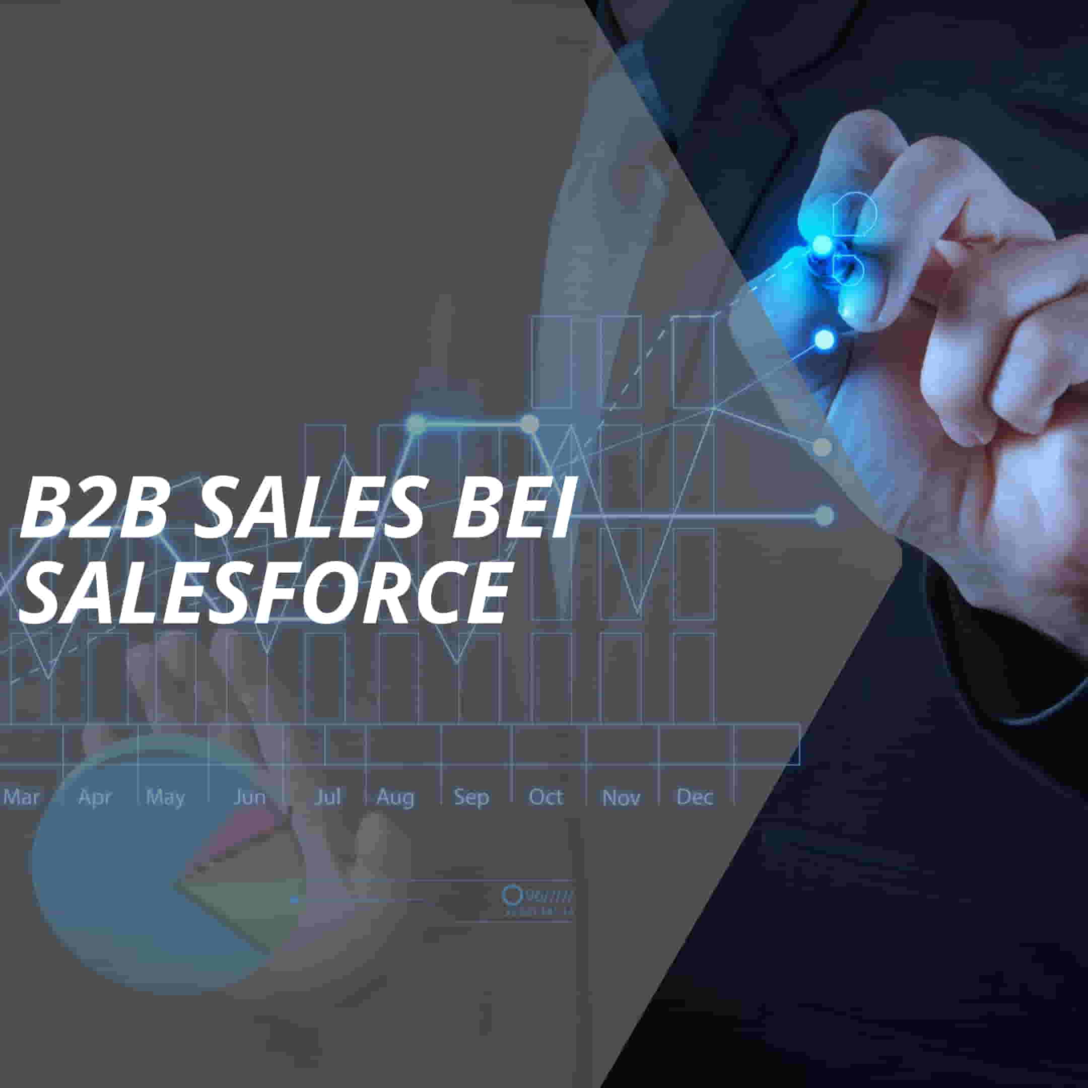 vertriebslexikon b2b sales bei salesforce