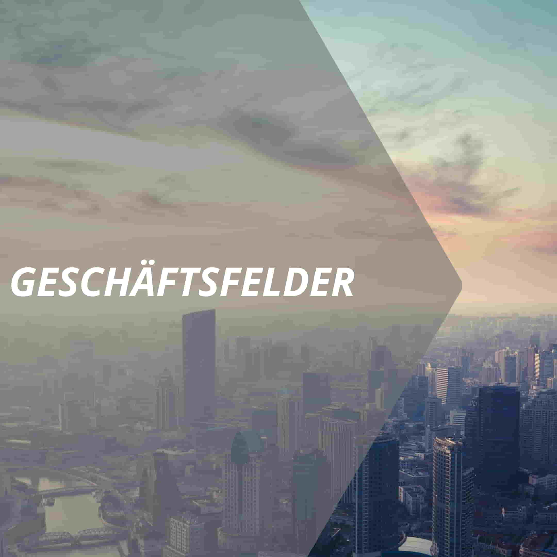 vertriebslexikon geschäftsfelder