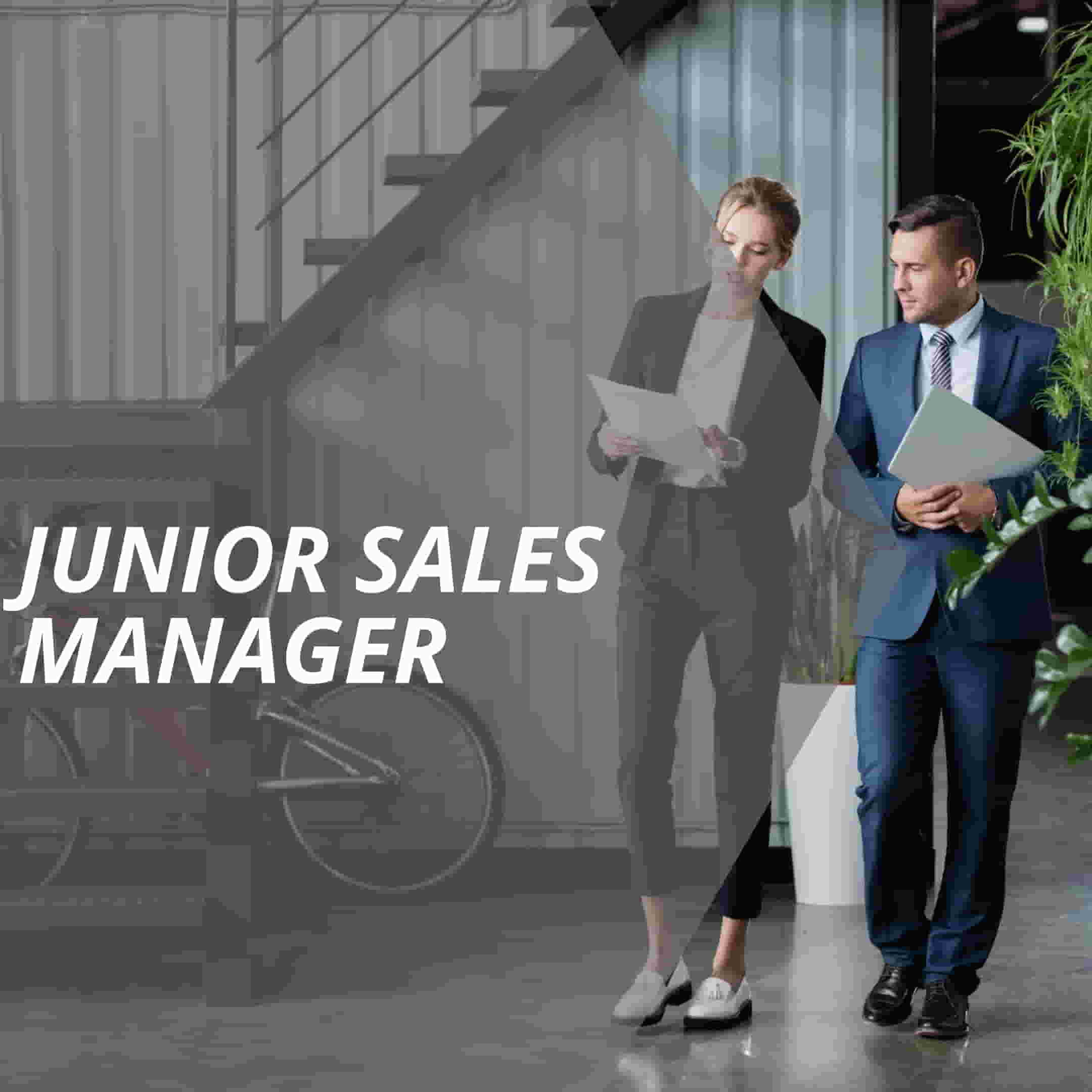 vertriebslexikon junior sales manager