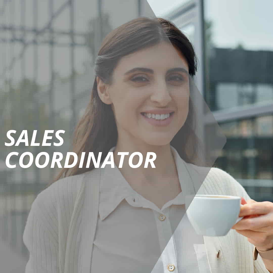 vertriebslexikon sales coordinator