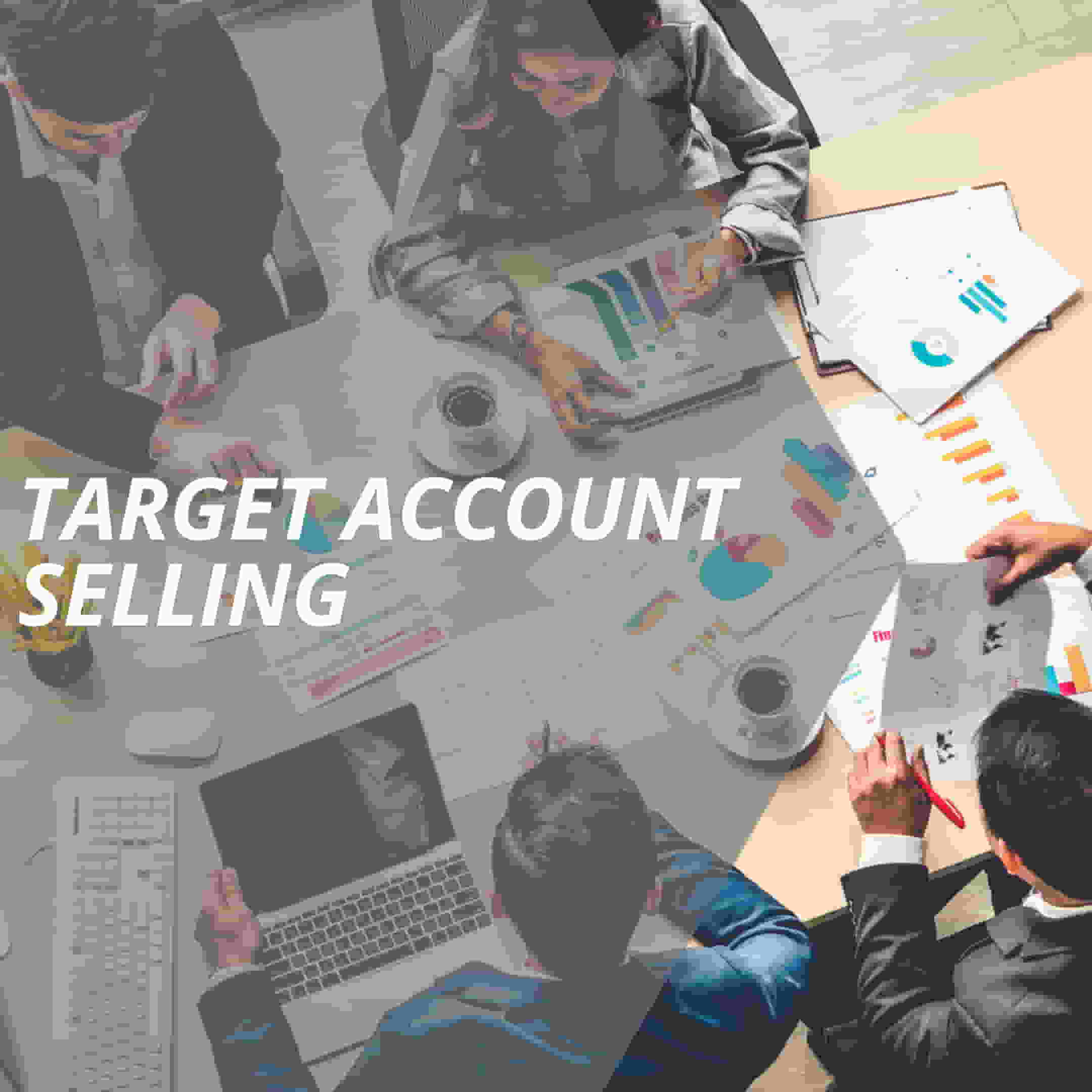 vertriebslexikon target account selling