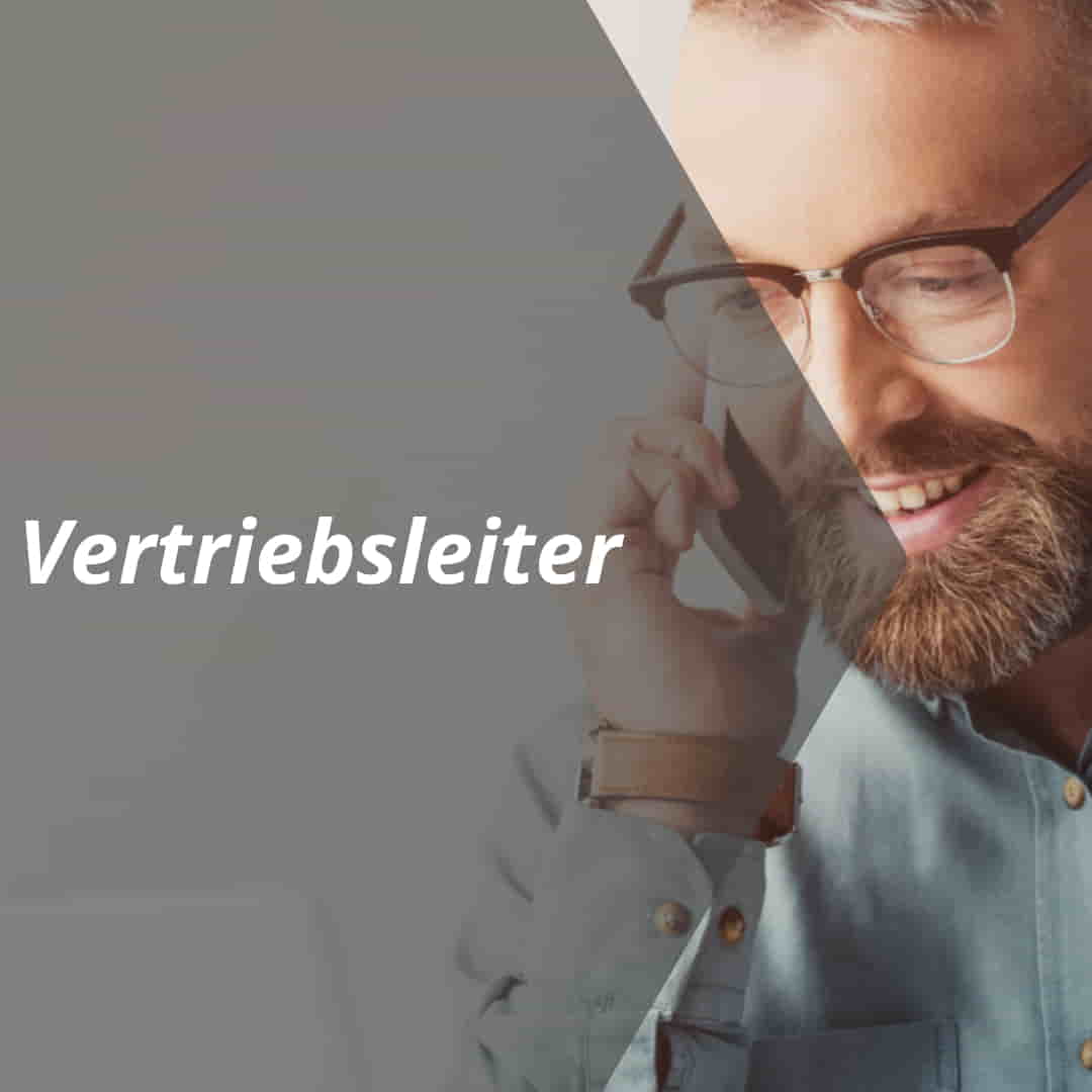 vertriebslexikon vertriebsleiter