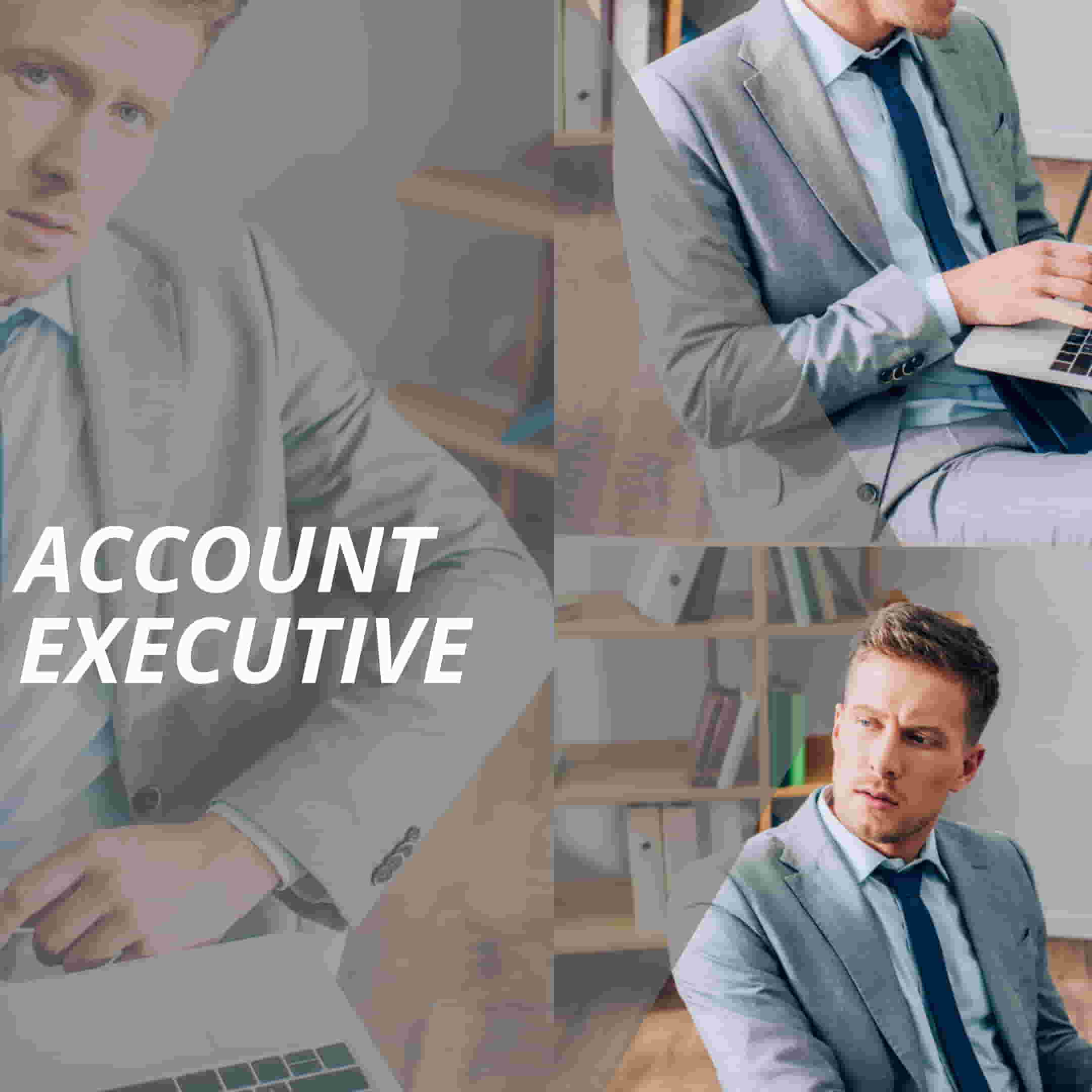 vertriebslexikon account executive