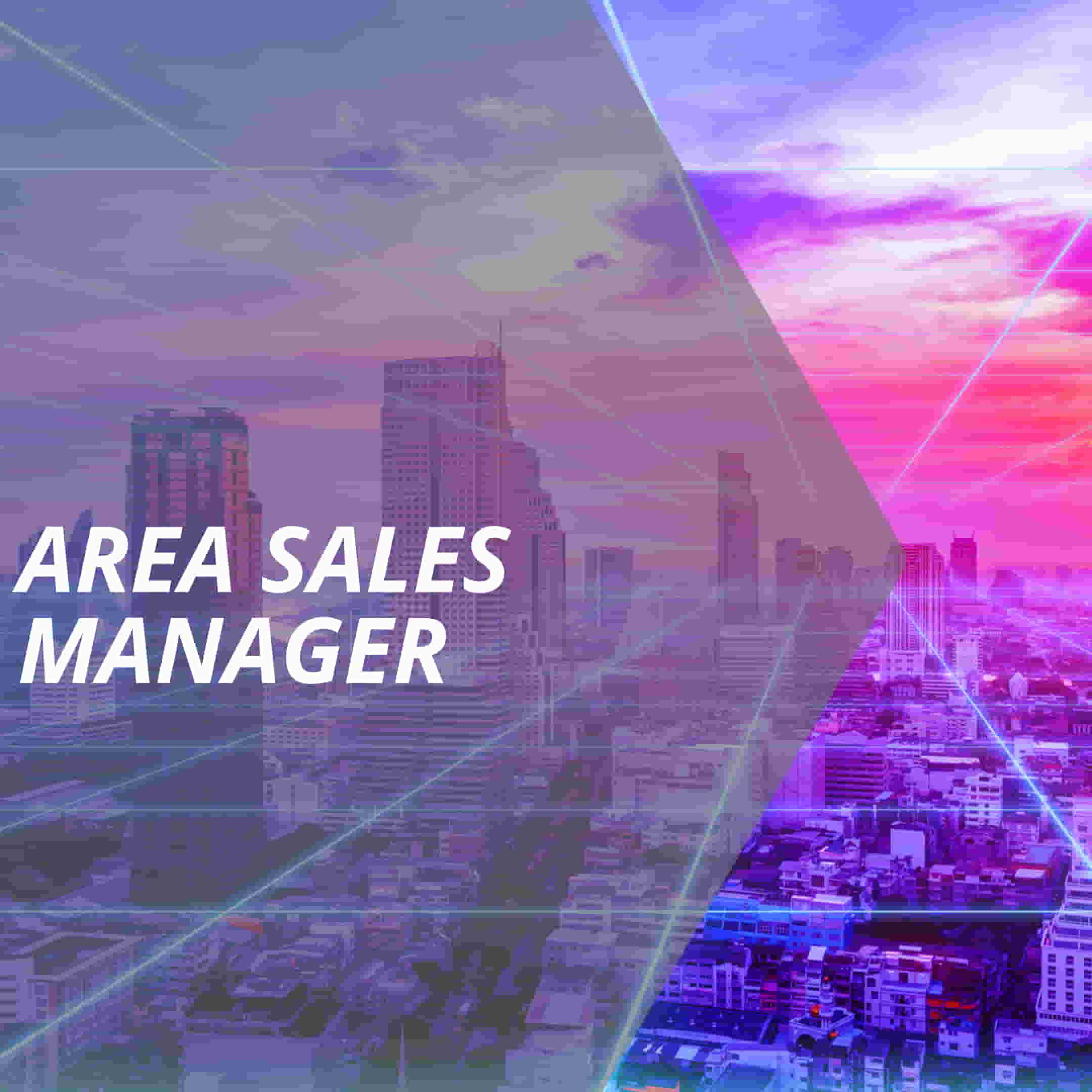 vertriebslexikon area sales manager