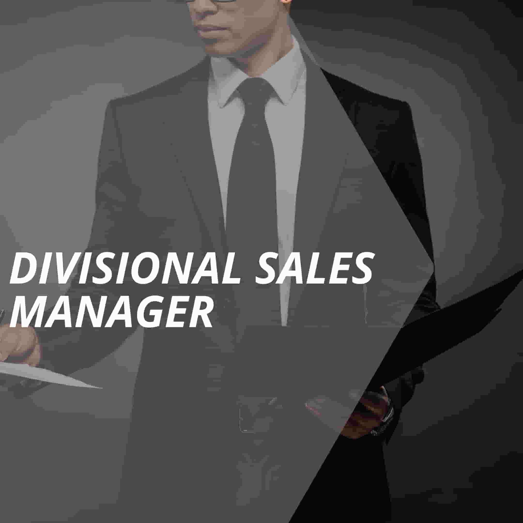 vertriebslexikon divisional sales manager