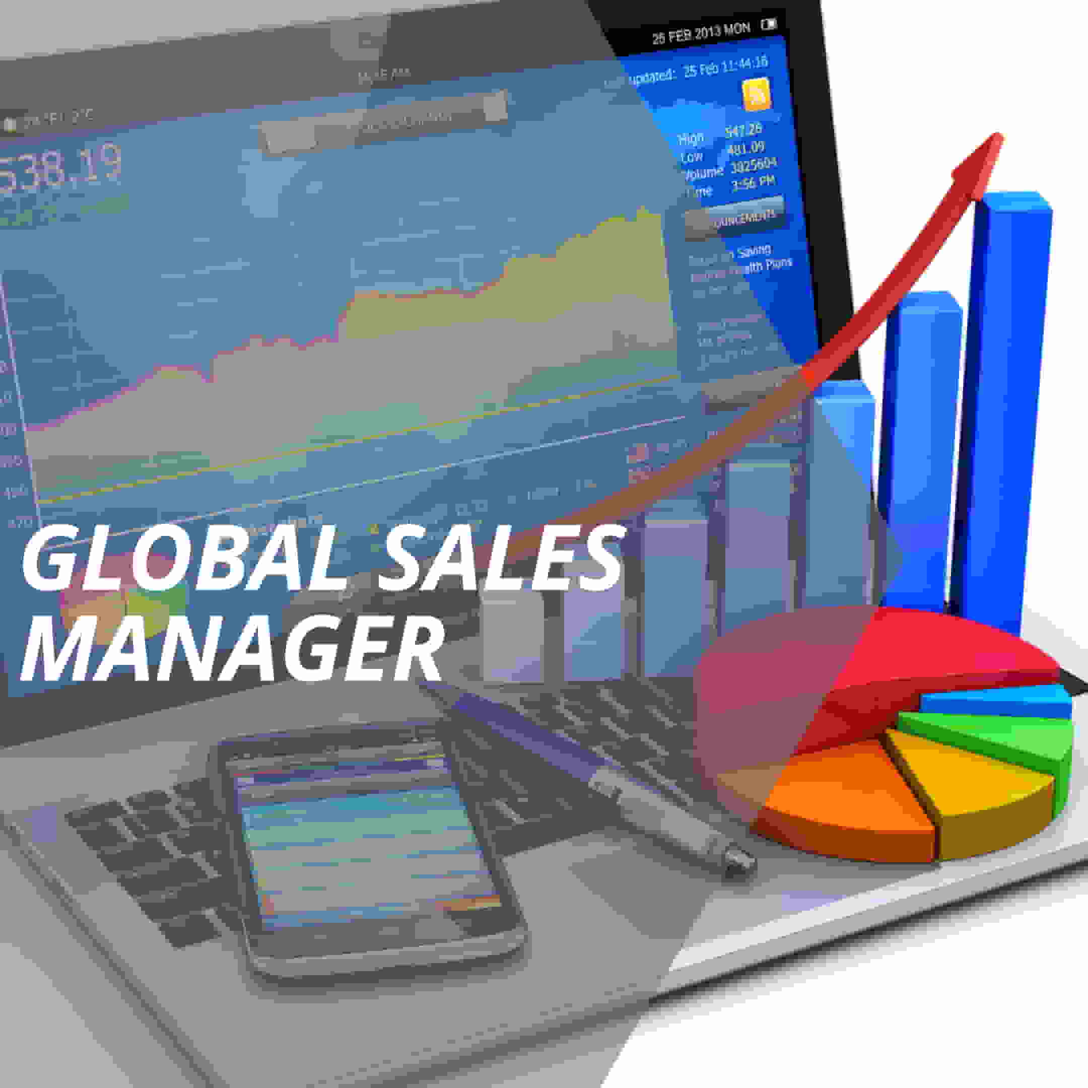 vertriebslexikon global sales manager