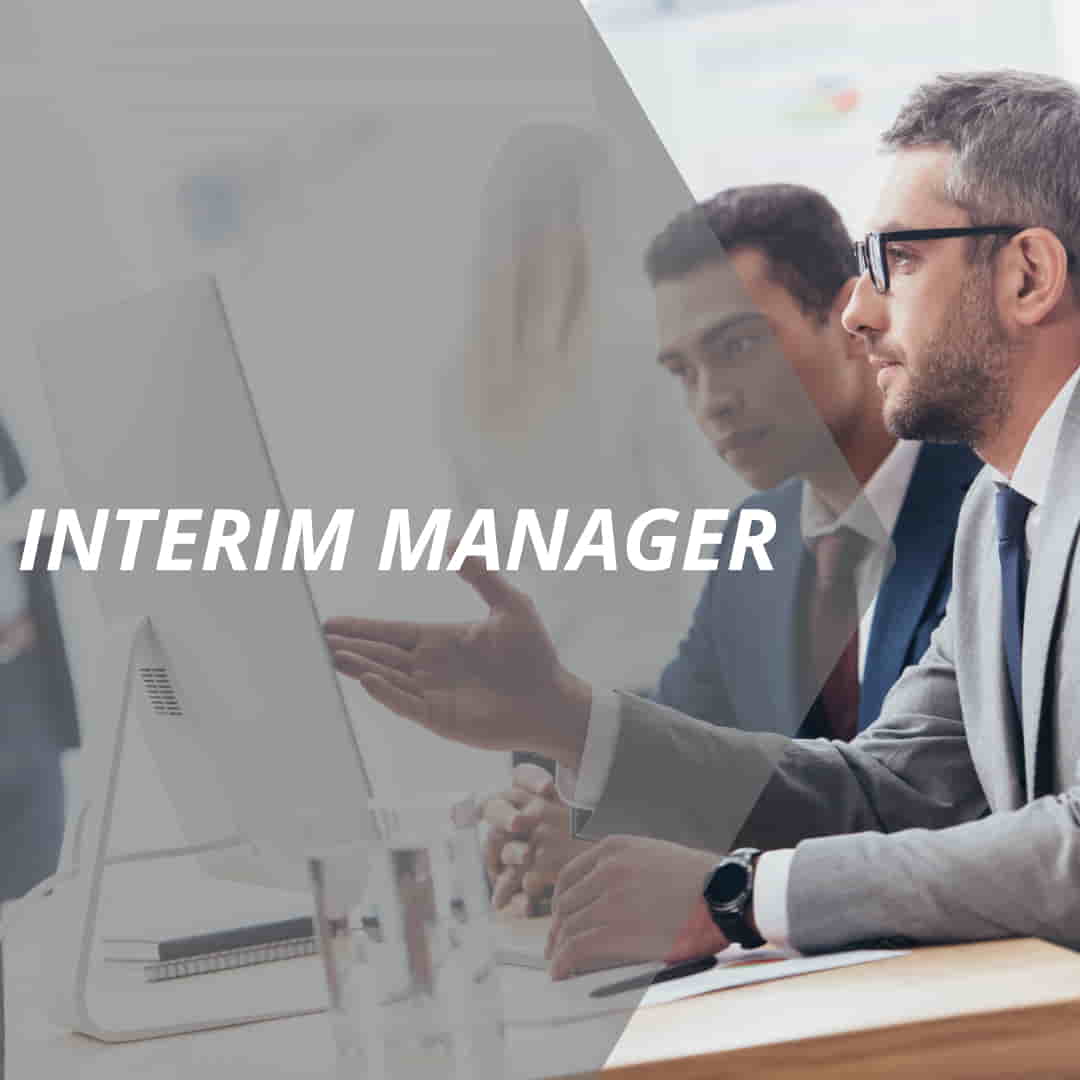 vertriebslexikon interim manager