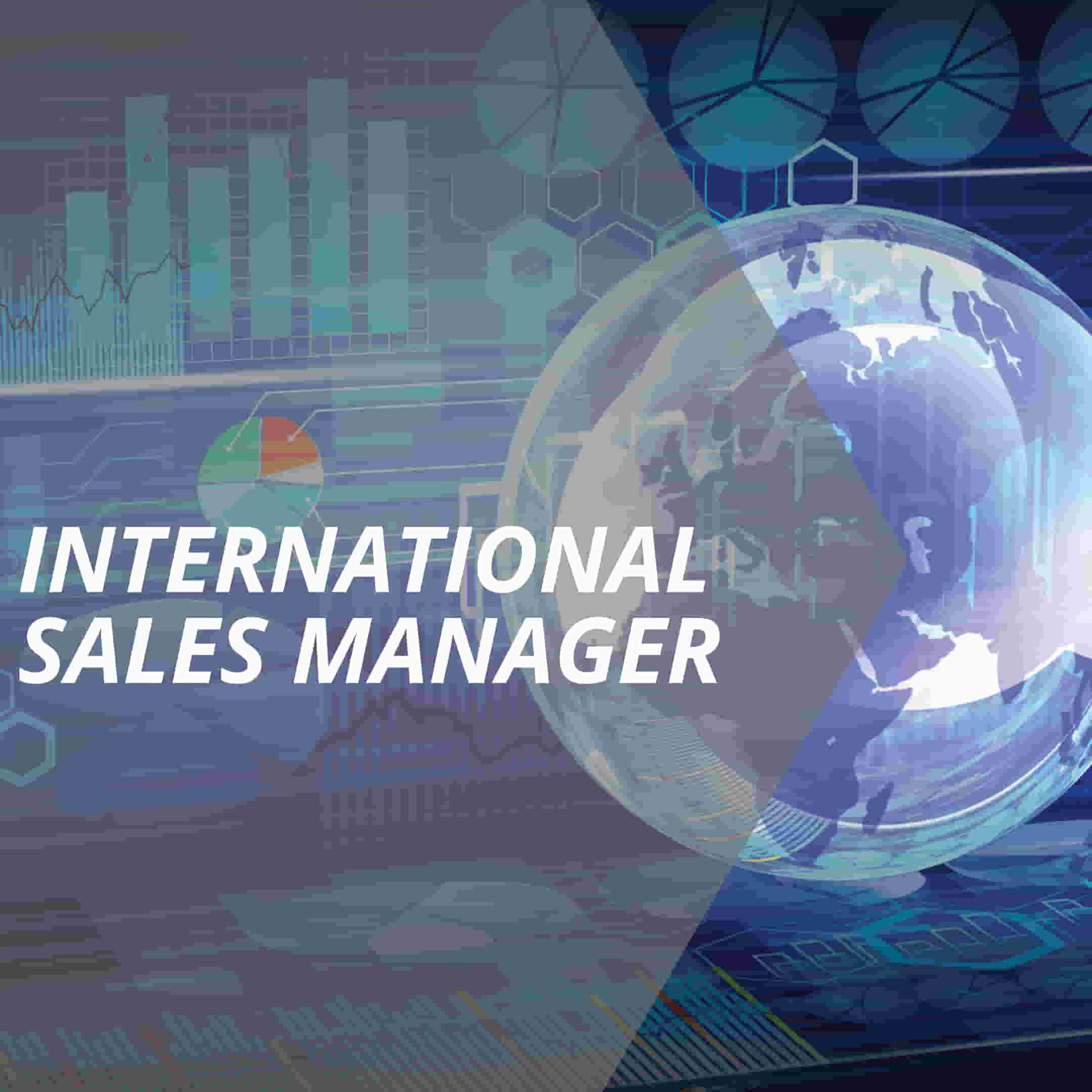 vertriebslexikon international sales manager