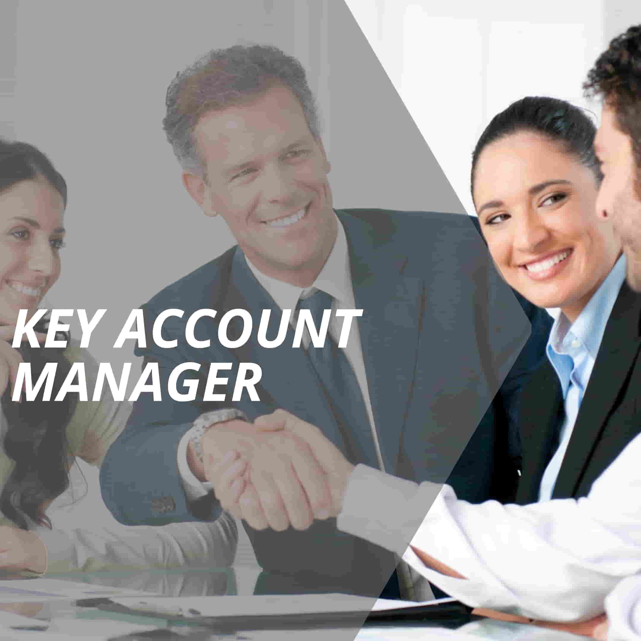 vertriebslexikon key account manager