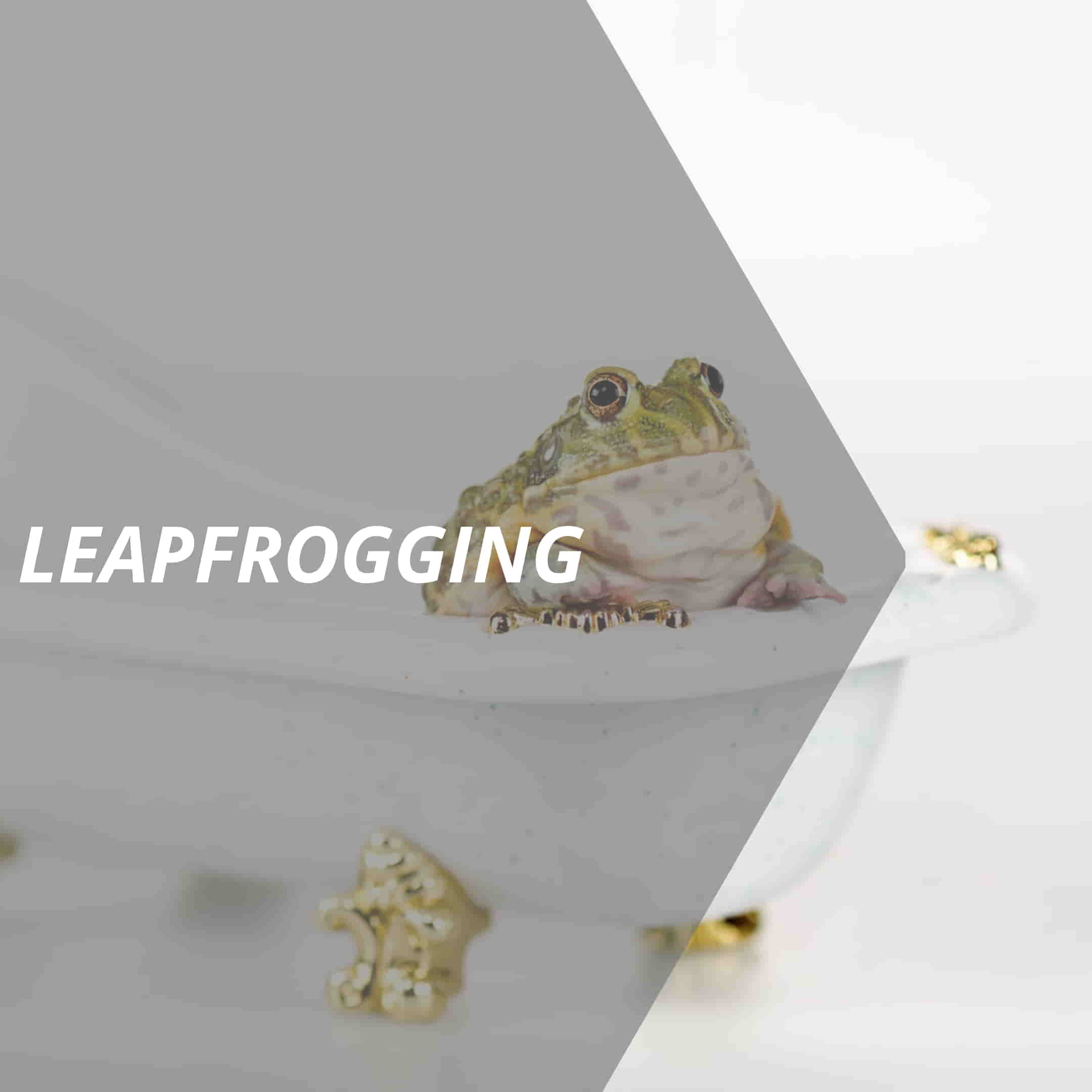 vertriebslexikon leapfrogging