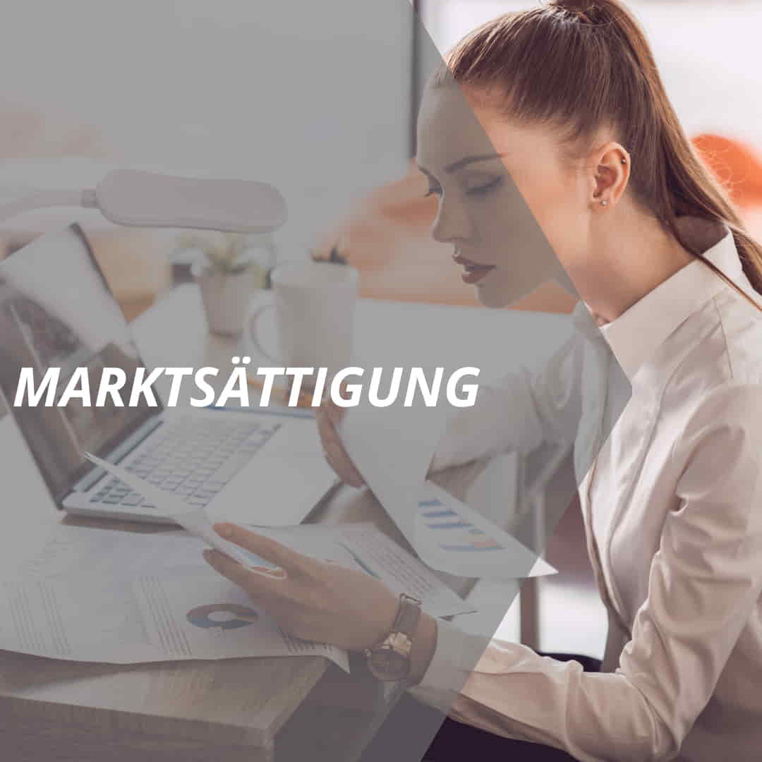 vertriebslexikon marktsättigung