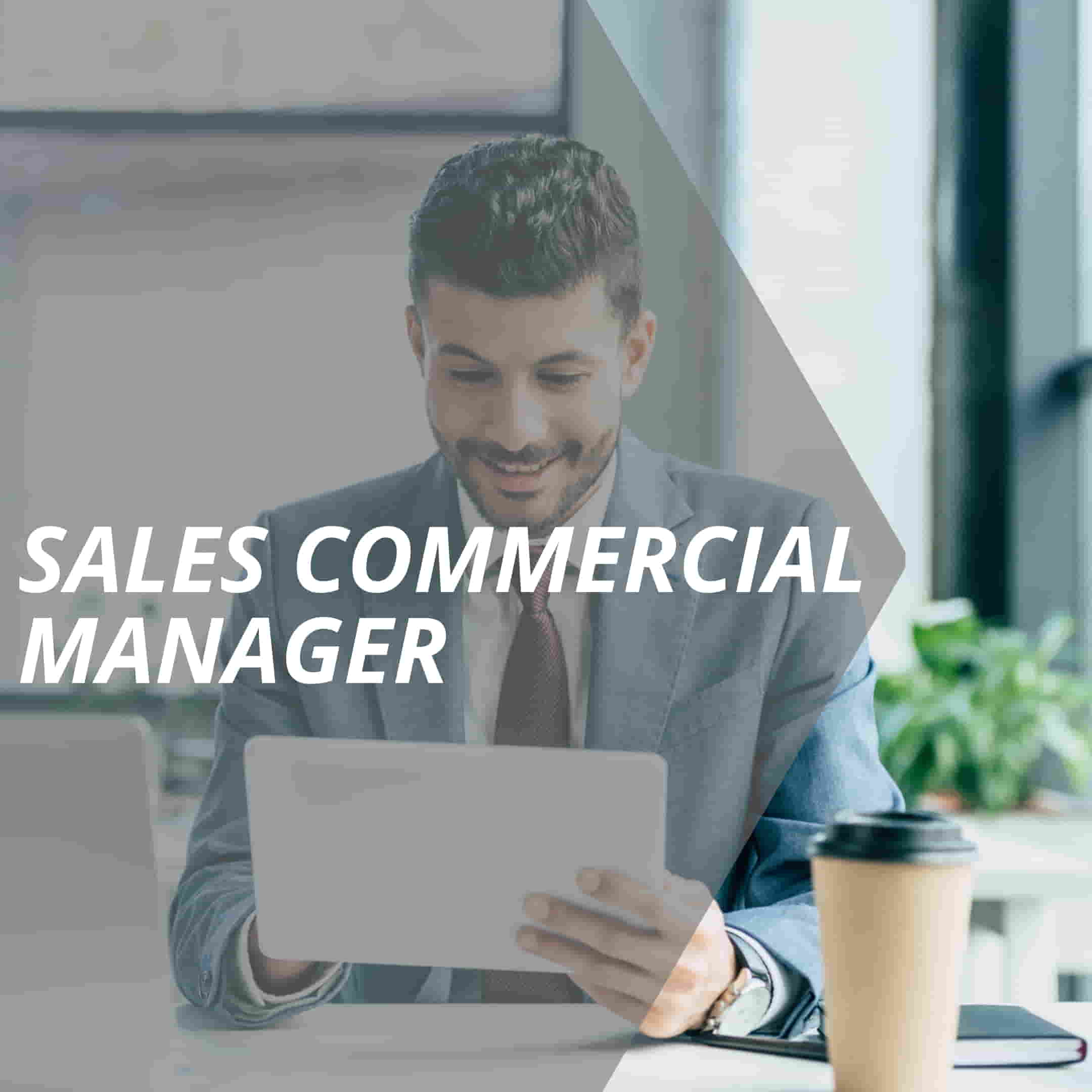 vertriebslexikon sales commercial manager