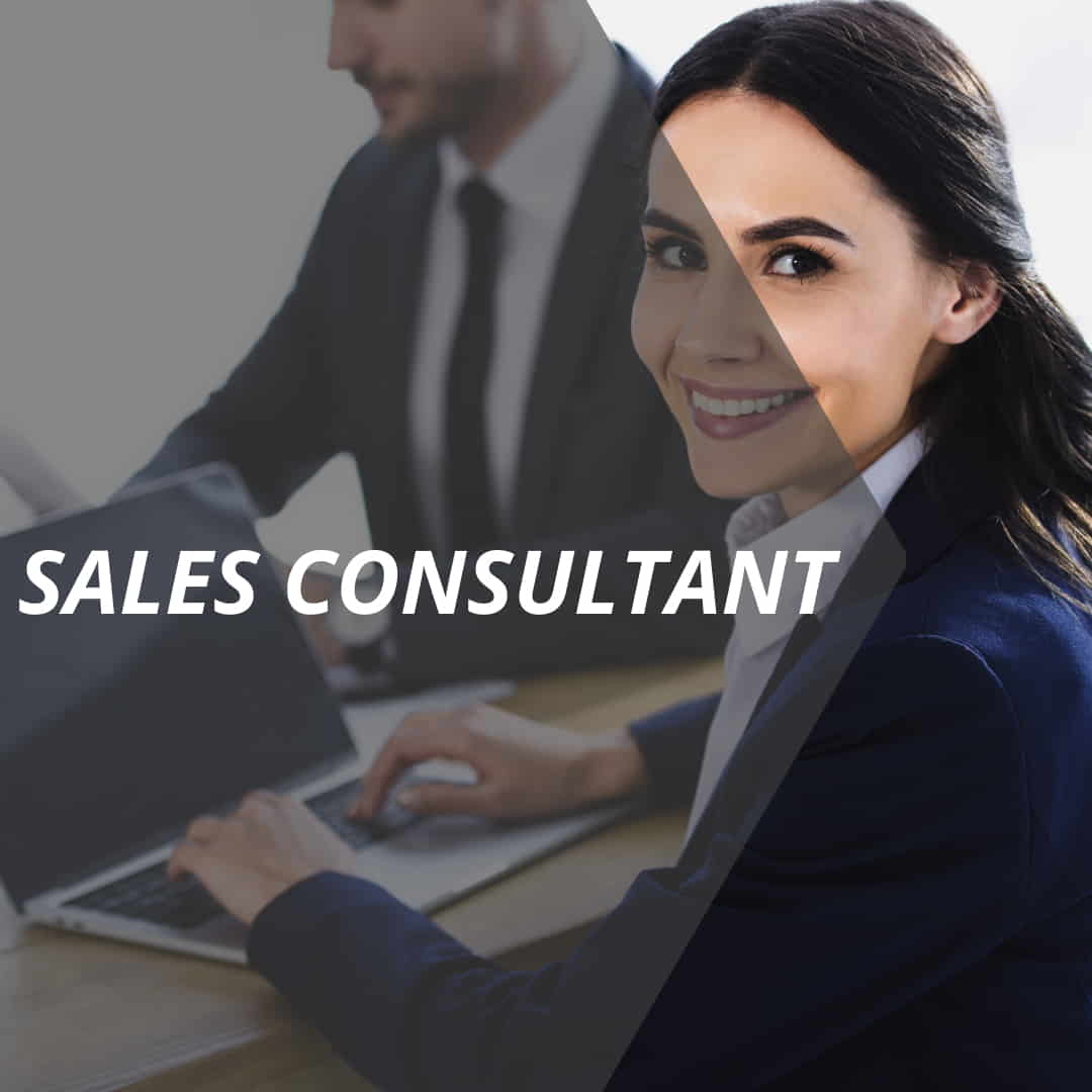 vertriebslexikon sales consultant