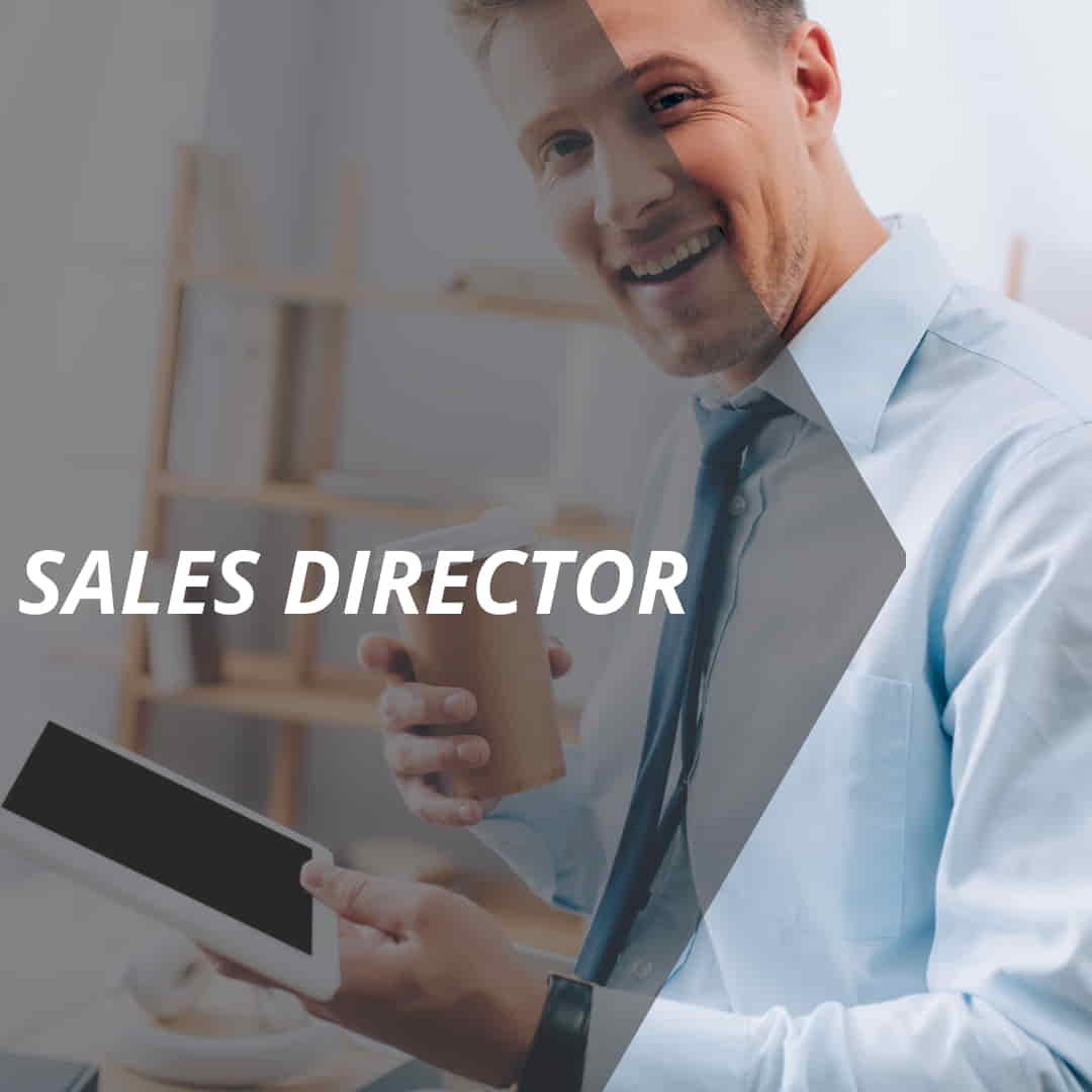 vertriebslexikon sales director