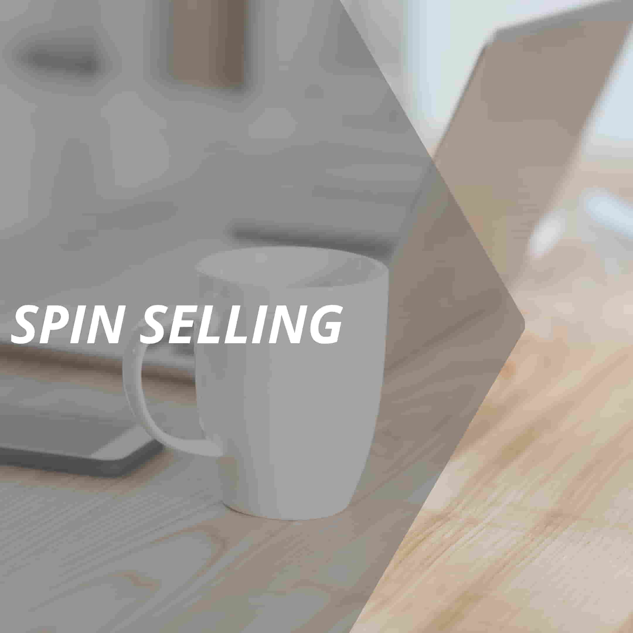 vertriebslexikon spin selling